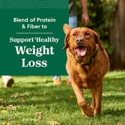NUTRO NATURAL CHOICE Lamb & Brown Rice, Dry Dog Food for Healthy Weight Adult Dog, 30 lb. Bag