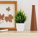 thumbnail image 4 of unbranded Planta Artificial Verde En Maceta Para De Restaurantes Y Espacios Interiores, 4 of 8
