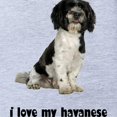 thumbnail image 2 of CafePress - FIN Havanese Love - Cute Infant Baby Football Bodysuit, 2 of 3