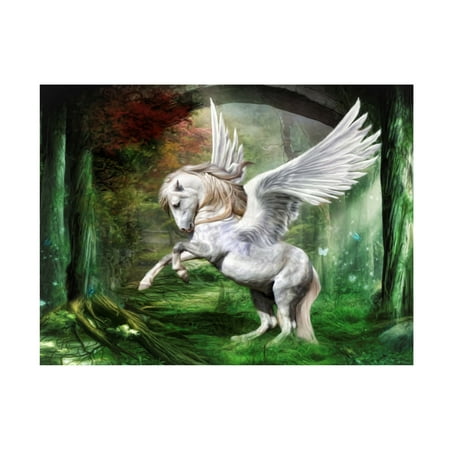 Canvas Wall Art - Trudi Simmonds 'White Pony Pegasus' Wall Art for Living Room, Bedroom, or Office D&eacute;cor by Trademark Fine Art - 19 x 14 Inches