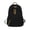 Black, variant on CZSCPDAW Women's 16.5 x 11.8 in Nylon School Backpack with Zipper Pockets and Adjustable Straps for School Travel and Daily Use