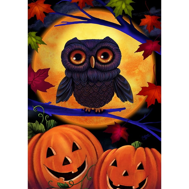 Toland Home Garden 1012103 Halloween Hibou Drapeau de la Maison (28 x 40 Pouces), Multi