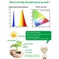 thumbnail image 4 of LED Grow Light Full Spectrum USB Grow Light Strip 2M 2835 SMD DC5V LED Phyto, 4 of 8