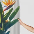 thumbnail image 3 of Orinice Bathroom Shower Curtain Spring Bird Paradise Flowers Bouquet Close Hawaiian Isolated On Flora White Foliage Nature Objects Decorative Bath Curtain Water Proof with Hooks  60x72, 3 of 7