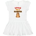thumbnail image 3 of Inktastic Hamster Cute Pet Gift Girls Baby Dress, 3 of 5