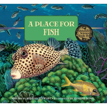 A Place for Fish (Best Places To Fish)