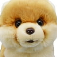thumbnail image 5 of Realistic Yellow Pomeranian Dog Stuffed Animal Plush Toy, Lifelike Animal Plushies, Simulation Animals Doll, 5 of 6