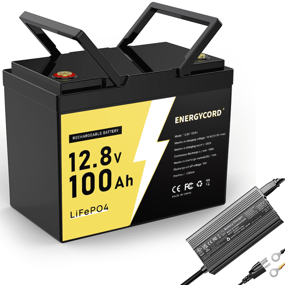 12V 100Ah LiFePO4 Battery with Charger, Rechargeabel Deep Cycle Lithium Batteries for RV, Solar, Boat, Marine, Trolling Motor