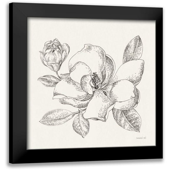 Nai, Danhui 12x12 Black Modern Framed Museum Art Print Titled - Flower Sketches II
