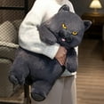 thumbnail image 2 of Fat Cat Plush Stuffed Animals Toy Lifelike Black Cat Toy for Boys and Girls Xmas Birthday Gift, 2 of 9