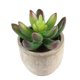 thumbnail image 1 of unbranded Planta Falsa De Material Premium Para De Estante Y Ventana, 1 of 5