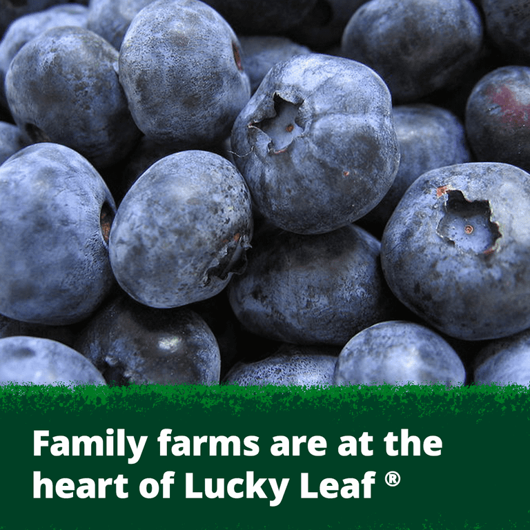 Lucky Leaf Organic Fruit Filling Blueberry, 21.0 OZ - Walmart.com