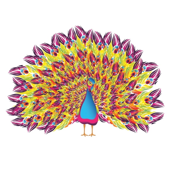 PEACOCK - Kids Room Family Room Peacock Wall Decor Art Multicolored Feathers Design Vinyl Wall Decal Sticker - Home Living Room Art Forest Bird Animal Decor Adhesive Wall Decoration 10" x 7"