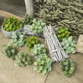 thumbnail image 2 of Micro Landscape Simulation 24 Heads Succulents Home Decoration Fake Plants, 2 of 8