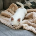thumbnail image 6 of Alpha Paw Cozy Calming Blanket - Anxiety & Stress Relief Blanket for Dogs & Cats, 6 of 6