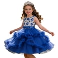 thumbnail image 1 of FhsagQ Robe de Fête Sans Manches pour Fille, Robe à Volants, Robe Tutu de Cérémonie pour Fille (Bleu Taille 3-4 Ans), 1 of 9