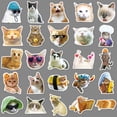 thumbnail image 3 of 500 pegatinas divertidas de gatos para adultos/adolescentes, pegatinas impermeables para portátil, casco, parachoques, botellas de agua, equipaje, coche, ordenador, teléfono, 3 of 5