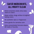 thumbnail image 2 of Molly's Suds Super Powder Detergent,Extra Strength Laundry Soap, Stain Fighting,Sensitive Skin,Simple, Effective Ingredients,60 Loads - Lav, 2 of 7