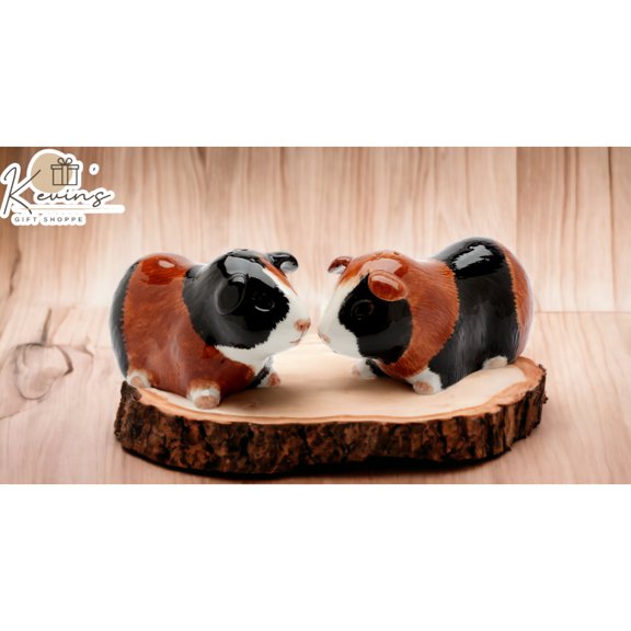 Hand Painted Ceramic Guinea Pig Salt and Pepper Shakers