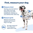 thumbnail image 4 of Arnés para perros PetSafe Easy Walk Deluxe sin tirar grande Ocean/Bla, 4 of 5