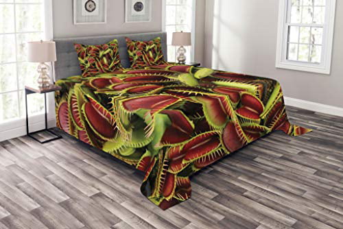 American Football Field and Ball Realistic Vivid Illustration College Decorative Quilted 2 Piece Coverlet Set with Pillow Sham Twin Size Lunarable Sports Bedspread Green Brown