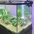 thumbnail image 4 of Piedras de aire con alto contenido de oxígeno disuelto Aquarium Air Stone boxtech, 4 of 9