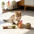thumbnail image 2 of FEOLGEHLY Catnip Toy Set for Indoor Cats Silvervine Cat Toy Cat Teething Toy Cat Chew Toy Multi-Shape Fish Ball Mouse Feather Boredom Relief (Brown C), 2 of 7