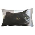 thumbnail image 1 of RYLABLUE Vivid Vintage Real Large Eyed Black Cat Halloween Pattern Polyester 20 x 30 Inch Rectangle Throw Pillow Covers With Hidden Zipper Home Sofa Cushion Decorative Pillowcases, 1 of 1