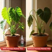 Hormex Mother Mist Plant Spray – Cal Mag for Plants – Grow Support and Cloning Booster 8oz