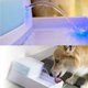 thumbnail image 3 of filtre En Mousse De Remplacement Pour Distributeurs D'eau Pour Chiens Et Chats (paquet De 12) - Compatible Avec Les Distributeurs D'eau En Cramiqu, 3 of 5