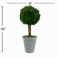 thumbnail image 2 of Bergamo Art Preserved 16 Inch Reindeer Moss Ball Potted Topiary Tree Pair Green, 2 of 4