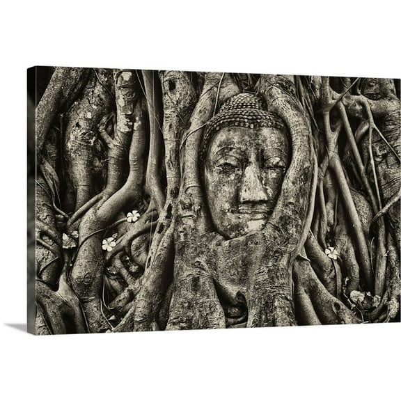 Great BIG Canvas Photography