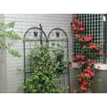 thumbnail image 6 of Metal Garden Trellis, 2 Pack Metal Trellis for Climbing Plants, Indoor/Outdoor Plant Trellis for Potted Plants, House Plants, Climbing Vines, Screen,, 6 of 8