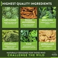 thumbnail image 6 of Truwild USDA Organic Green Superfood Adaptogen Powder - 22+ Amazing Raw Fiber & Mixed Greens - Reishi, Ashwagandha, Maca, Moringa, Wheatgrass, Bitter Melon, Natural Flavor - 30 Servings, 6 of 8