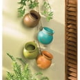 thumbnail image 1 of Zingz & Thingz 37733 Pots Suspendus Sud-Ouest, 1 of 2