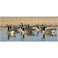 thumbnail image 3 of Avian X Topflight Honker Floaters with True to Life Postures and Weight Forward Swim Keel for Hunting Use, Outdoor Sports, and Recreation, 3 of 13