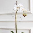 thumbnail image 3 of 2 Pcs Garden Plants Climbing Frame Plant Vine Support Frame Plants Climbing Racks, 3 of 3