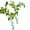 A696, variant on sdhkgrrt under $5 Olive Light Garland, Twinkling Olive Tree String Lights,Warm White LED Artificial Olive Vine Lights,Battery Operated Indoor Outdoor Decor Lights,Bedroom Living Room Wedding