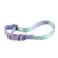 thumbnail image 2 of Collar de perro elegante collar de perro colorido para caminar al aire libre ANGGREK  Otros, 2 of 8