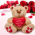 thumbnail image 4 of CaseTank Regalos para el día de San Valentín para su novia, esposa, mamá, prometido, niños, regalos de San Valentín para mujeres, oso de peluche para el día de San Valentín, 10.0 in, divertido y lindo, 4 of 7