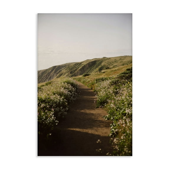 Stupell Industries Path by Beach Coast Landscape & Nature Photography Wrapped Canvas Art Print Wall Art, 16 x 24