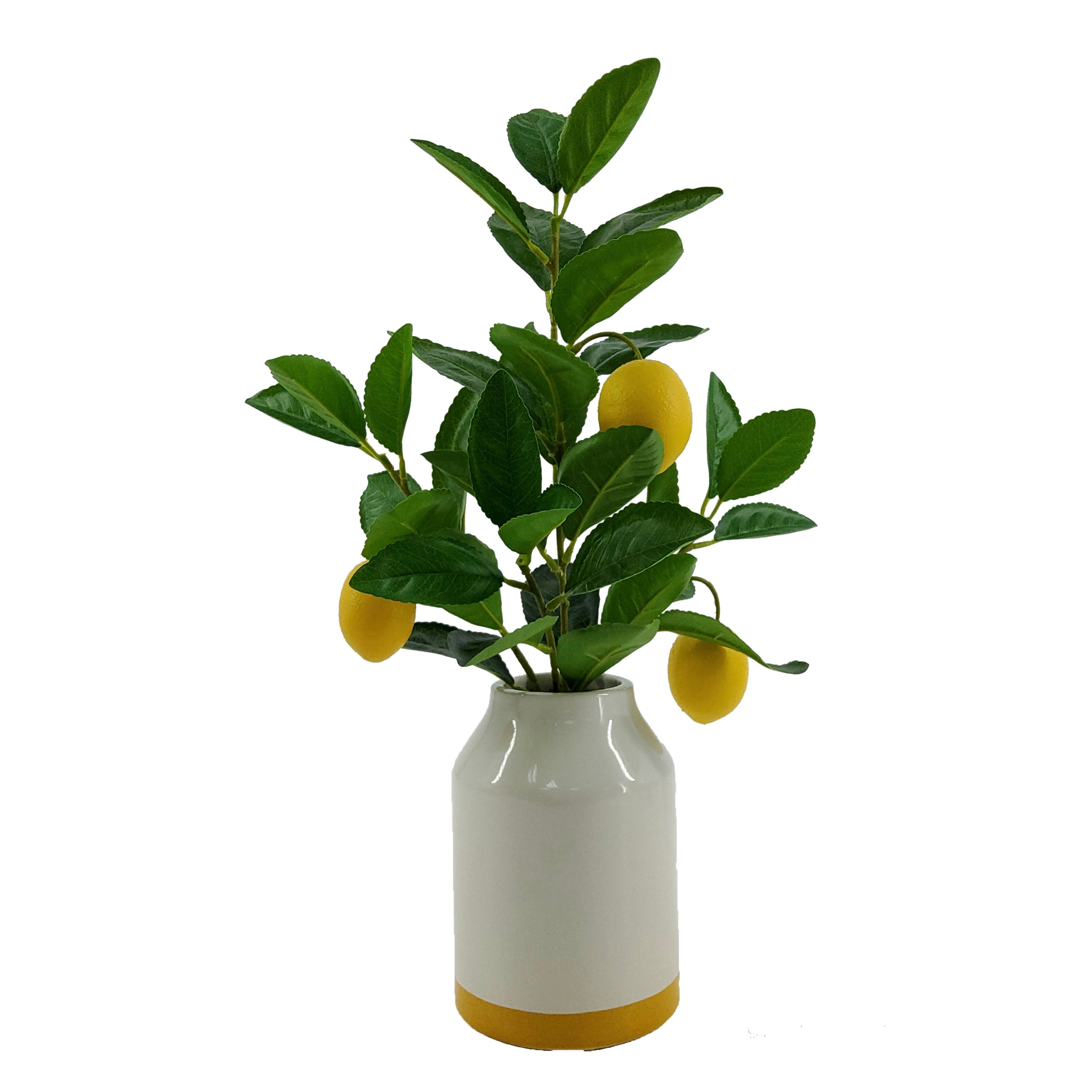 Mainstays by Becky G. & Alejandra 14.5" Artificial Lemon Tree in White Ceramic Vase