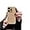 khaki, variant on Flower Butterfly Pattern Faux Leather Phone Case, Simple and Fashionable, Drop-Proof and Wear-Resistant, for iPhone 15 14 13 12 11 Pro Max Plus Phone Case (Black,iPhone 12)