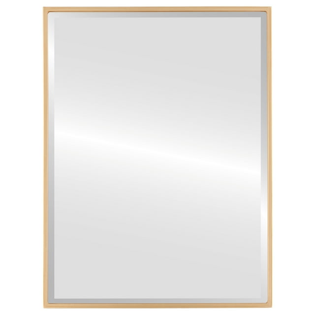 Miroir Rectangulaire Encadré Singapore - Peinture Dorée - 21 Pouces x 31 Pouces
