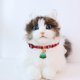 thumbnail image 3 of Collar ajustable para perros y gatos con colgante para mascotas decoración navideña (árbol de Navidad S) JShteea Libre de BPA, 3 of 8