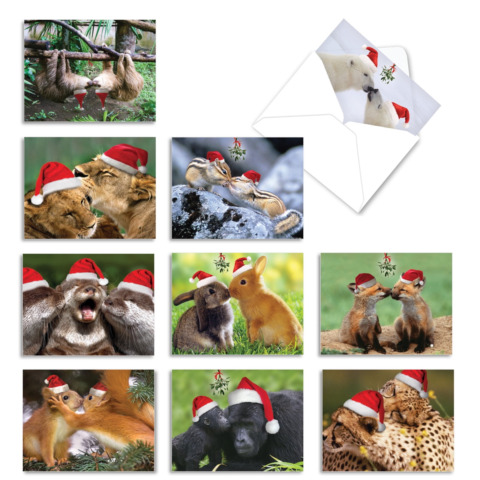 10 Merry Christmas Note Cards Boxed (4 x 5.12 Inch) - HOLIDAY ANIMAL SMACKERS M6594XSB