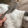 thumbnail image 2 of OutFlea- Cat and Dog Grooming Flea Comb (Blue), 2 of 2