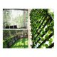 thumbnail image 2 of Decoración de hojas artificiales TANGJMXG 12 piezas de vid verde 200 cm, 2 of 5