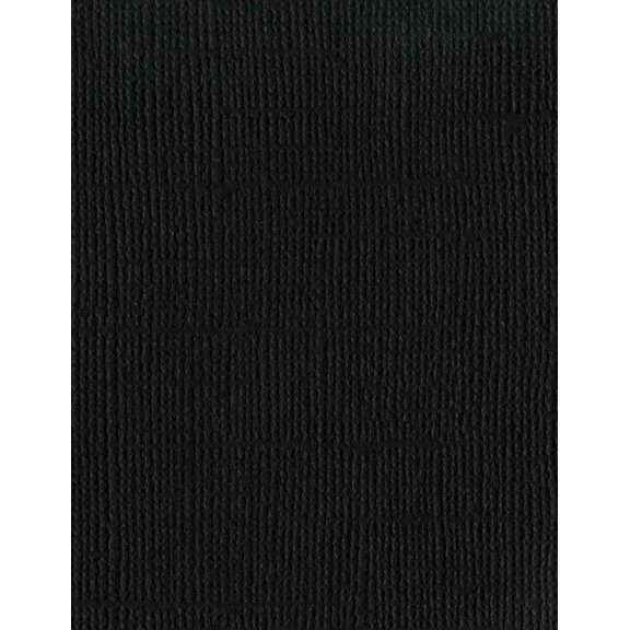 Bazzill Mono Cardstock 8.5"X11"-Raven/Canvas