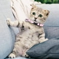thumbnail image 4 of Print Cat Collar Breakaway Collar Colorful Woven Nylon Neckband for, 4 of 4